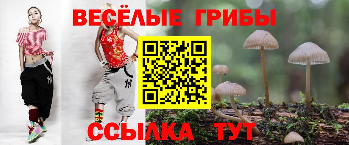 Псилоцибиновые грибы GOLDEN TEACHER Павлово