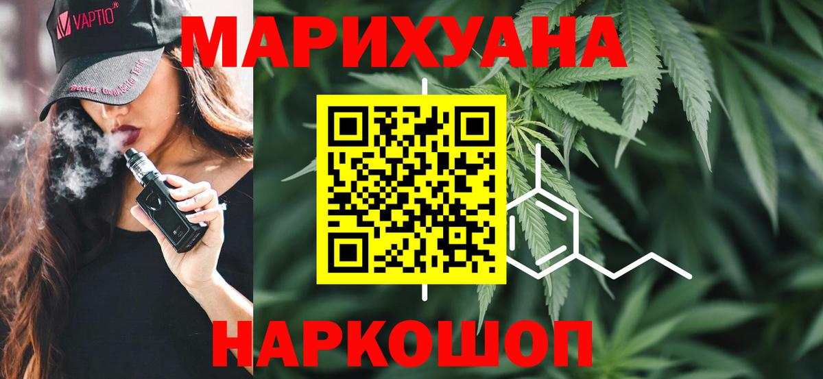 Каннабис план Павлово
